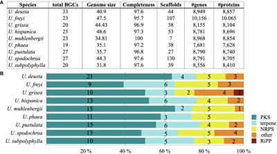Genome mining as a biotechnological tool for the discovery of novel biosynthetic genes in lichens